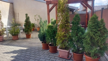 Pronájem bytu 2+kk v osobním vlastnictví 45 m², Rousínov