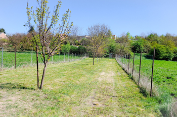 Prodej pozemku 1667 m², Sokolnice
