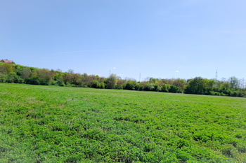 Prodej pozemku 1667 m², Sokolnice