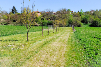 Prodej pozemku 1667 m², Sokolnice