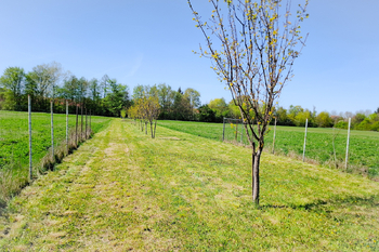 Prodej pozemku 1667 m², Sokolnice