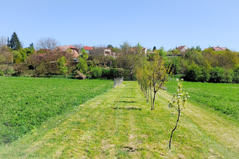 Prodej pozemku 1667 m², Sokolnice
