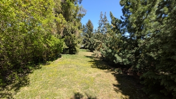 Prodej pozemku 1615 m², Buřenice