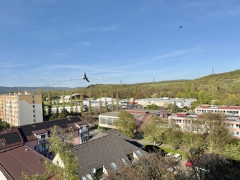 Prodej bytu 4+1 v osobním vlastnictví 77 m², Kadaň