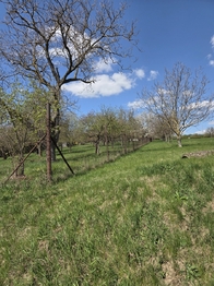 Prodej pozemku 4967 m², Křenovice