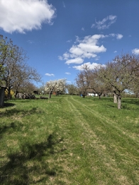 Prodej pozemku 4967 m², Křenovice