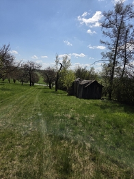 Prodej pozemku 4967 m², Křenovice