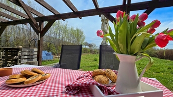 Prodej pozemku 1466 m², Okarec