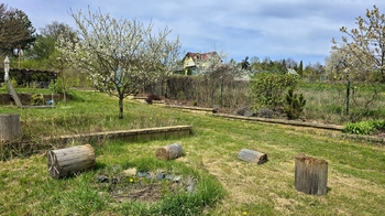 Prodej pozemku 1466 m², Okarec