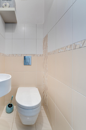 samostatná toaleta s umyvadlem a sprchou - Prodej bytu 2+1 v osobním vlastnictví 52 m², Praha 9 - Letňany