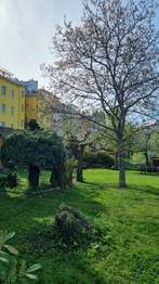 Pronájem bytu 2+kk v osobním vlastnictví 51 m², Olomouc