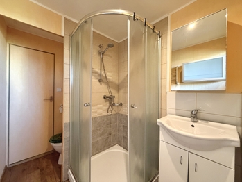 Prodej bytu 2+1 v osobním vlastnictví 60 m², Chomutov