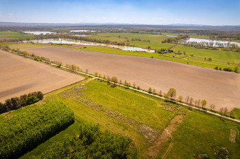 Prodej pozemku 801 m², Čejkovice