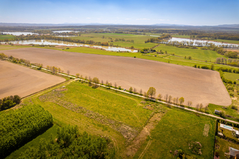 Prodej pozemku 801 m², Čejkovice