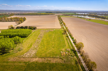 Prodej pozemku 801 m², Čejkovice