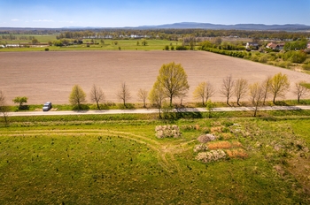 Prodej pozemku 801 m², Čejkovice
