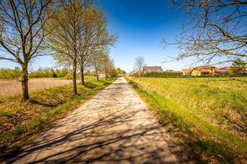Prodej pozemku 801 m², Čejkovice