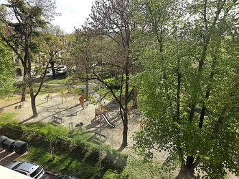 Výhled z okna - Pronájem bytu 1+1 v osobním vlastnictví 64 m², Písek