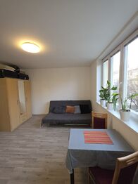 rozkládací sedačka se šatní skříní - Pronájem bytu 1+kk v osobním vlastnictví 27 m², Brno