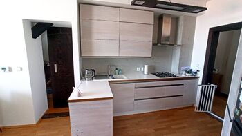 Pronájem bytu 3+kk v osobním vlastnictví 99 m², Praha 3 - Vinohrady