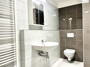 Pronájem bytu 1+kk v osobním vlastnictví 39 m², České Budějovice