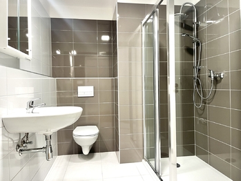 Pronájem bytu 1+kk v osobním vlastnictví 39 m², České Budějovice