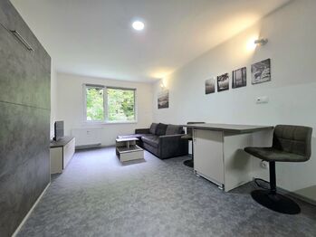 Prodej bytu 1+kk v osobním vlastnictví 28 m², Ostrov