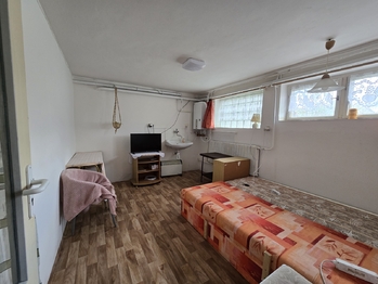 Sklep - Prodej domu 180 m², Měcholupy