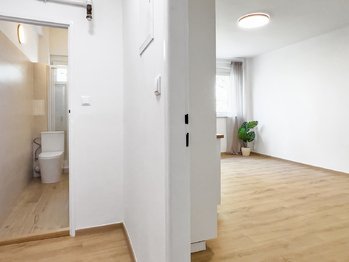 Pronájem bytu 1+kk v osobním vlastnictví 31 m², Praha 6 - Břevnov