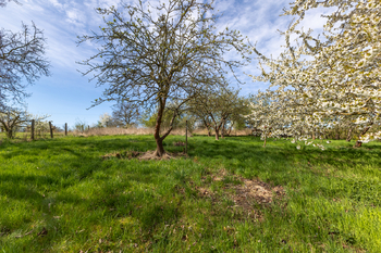 zahrada - Prodej domu 120 m², Janov