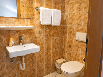 Prodej bytu 1+kk v osobním vlastnictví 31 m², Bayerisch Eisenstein