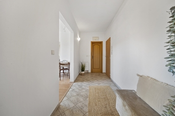 hala-kouplena - Prodej bytu 2+kk v osobním vlastnictví 44 m², Brno
