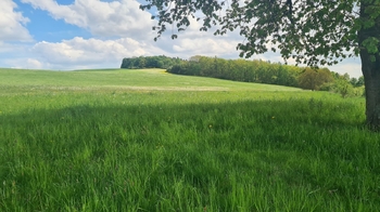Prodej pozemku 7058 m², Čížkov