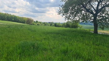 Prodej pozemku 7058 m², Čížkov