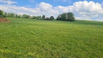 Prodej pozemku 7058 m², Čížkov