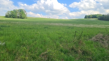 Prodej pozemku 7058 m², Čížkov