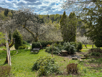 Prodej domu 460 m², Kořenov