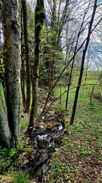 Prodej domu 460 m², Kořenov