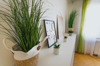 ložnice komoda - Prodej bytu 2+1 v osobním vlastnictví 57 m², Velké Meziříčí