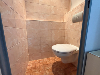 Pronájem bytu 2+1 v osobním vlastnictví 60 m², Plzeň