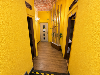 Pronájem restaurace 298 m², Praha 2 - Nové Město