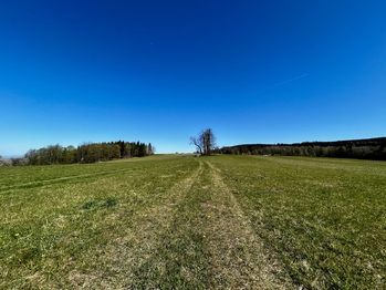 Prodej chaty / chalupy 160 m², Kounov