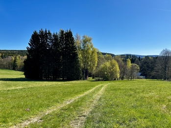 Prodej chaty / chalupy 160 m², Kounov
