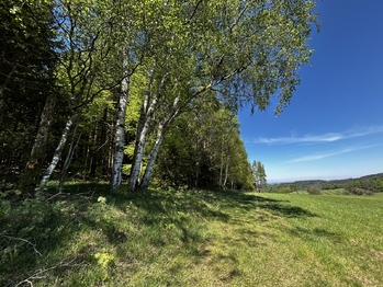 Prodej chaty / chalupy 160 m², Kounov