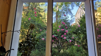 Prodej bytu 2+kk v osobním vlastnictví 42 m², Praha 4 - Nusle