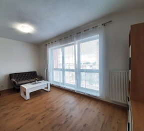Pronájem bytu 1+kk v osobním vlastnictví 45 m², Plzeň