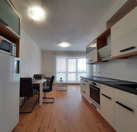 Pronájem bytu 1+kk v osobním vlastnictví 45 m², Plzeň