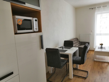 Pronájem bytu 1+kk v osobním vlastnictví 45 m², Plzeň