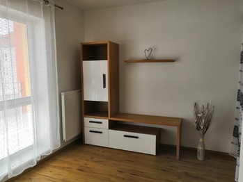 Pronájem bytu 1+kk v osobním vlastnictví 45 m², Plzeň