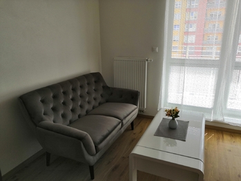 Pronájem bytu 1+kk v osobním vlastnictví 45 m², Plzeň